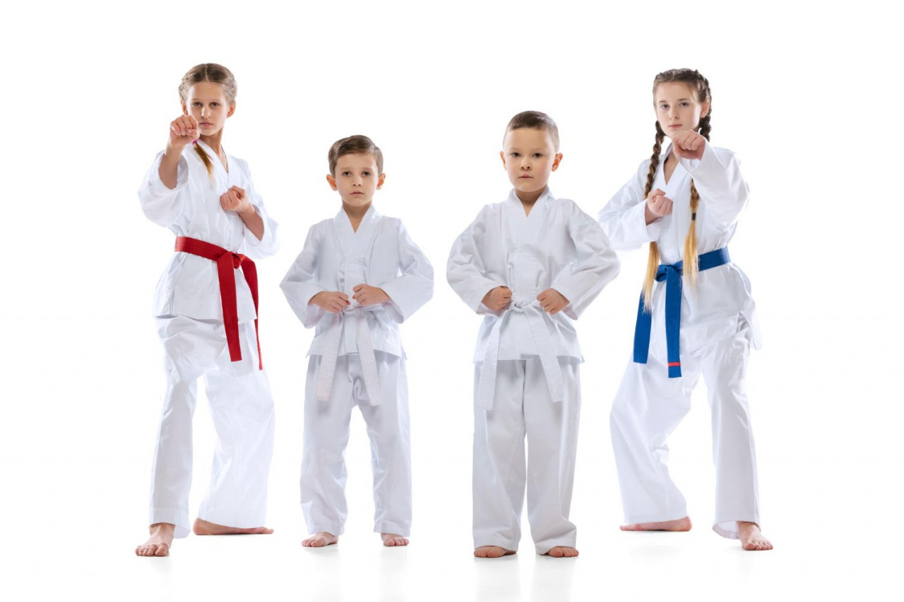 Дети на секции дзюдо с разными поясами