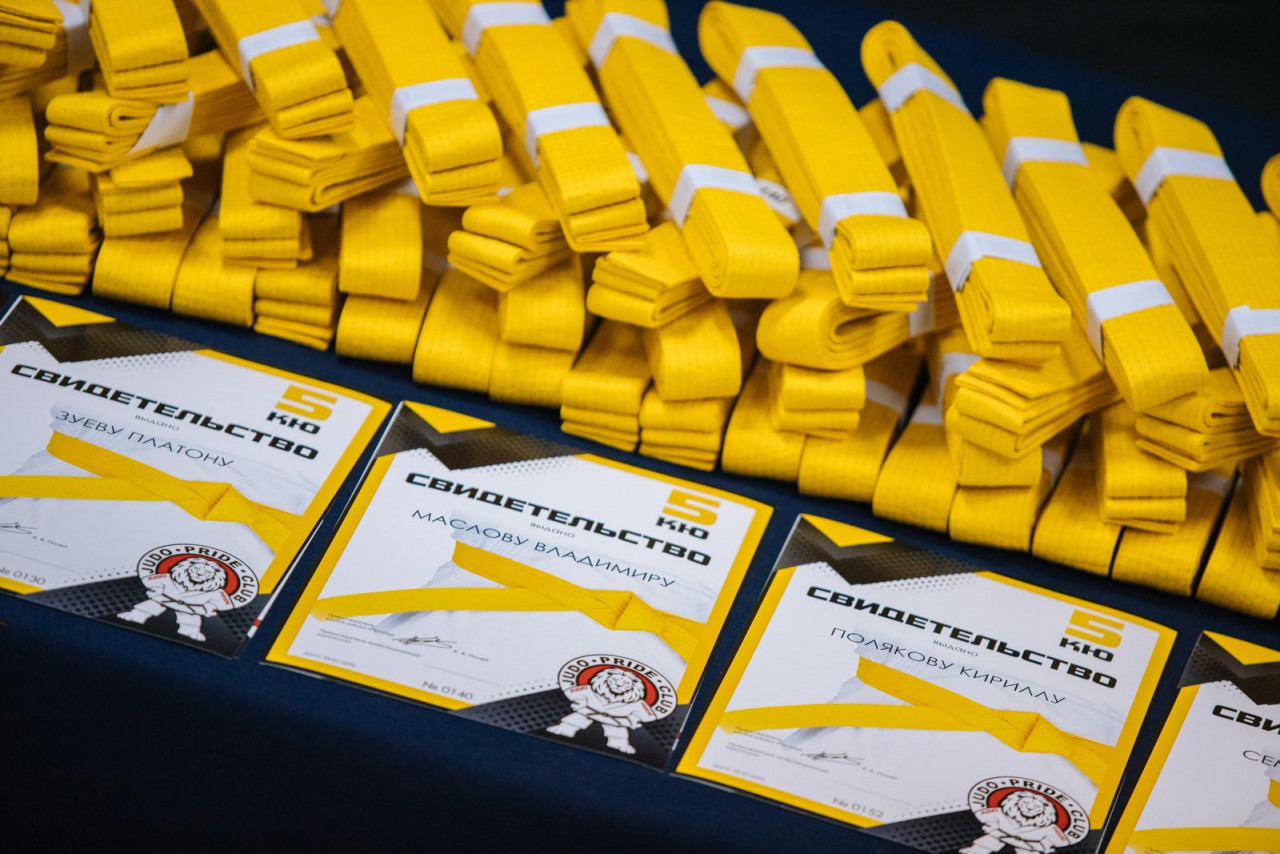 Аттестация на жёлтый пояс