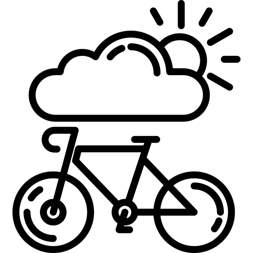 Ежегодная активность